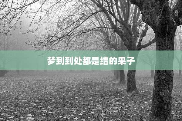 梦到到处都是结的果子