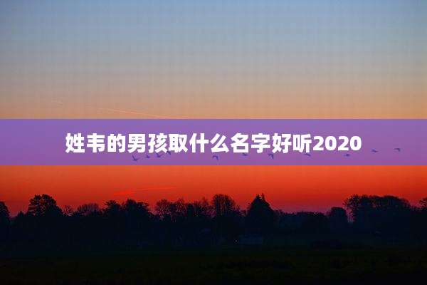 姓韦的男孩取什么名字好听2020