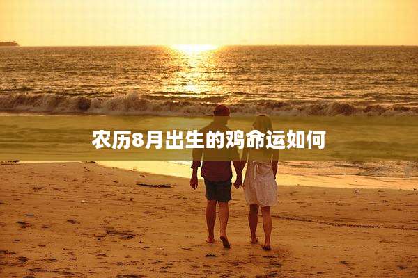 农历8月出生的鸡命运如何