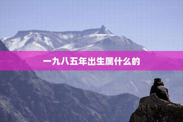一九八五年出生属什么的