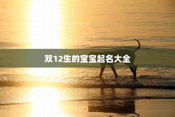 双12生的宝宝起名大全