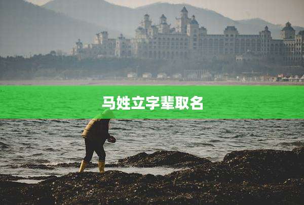马姓立字辈取名