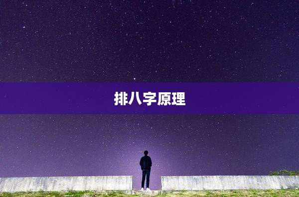 排八字原理
