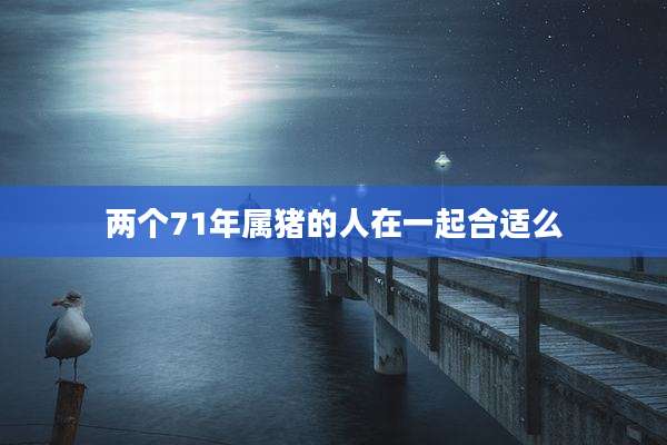 两个71年属猪的人在一起合适么