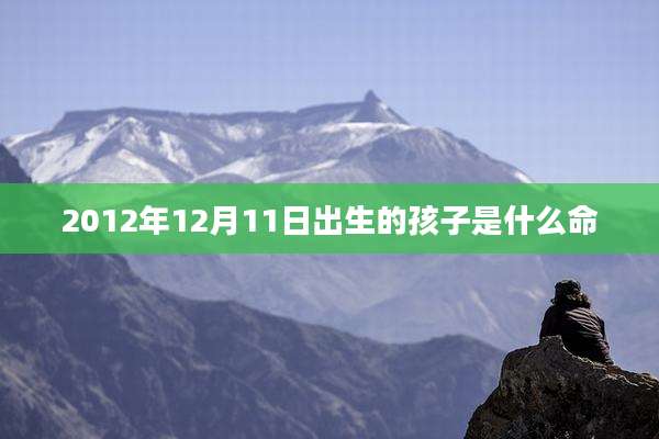 2012年12月11日出生的孩子是什么命
