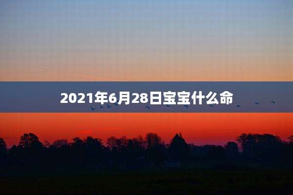 2021年6月28日宝宝什么命