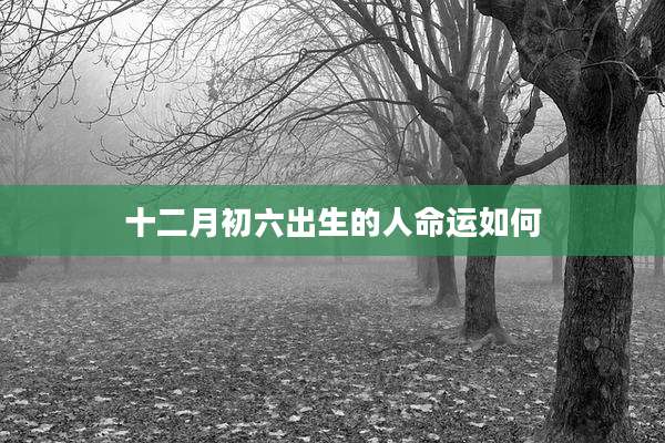 十二月初六出生的人命运如何