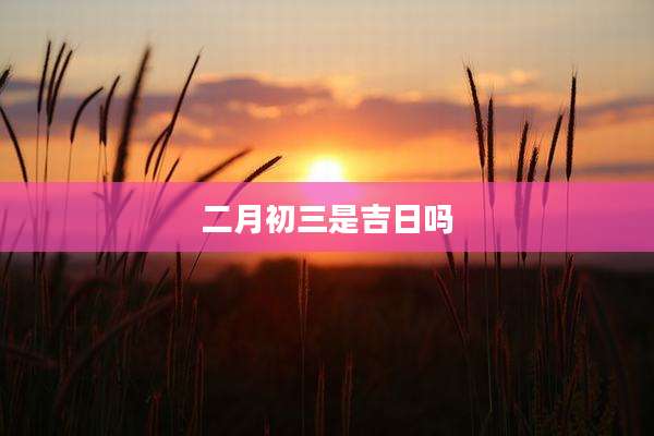 二月初三是吉日吗