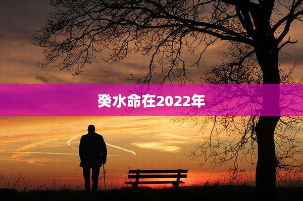 癸水命在2022年