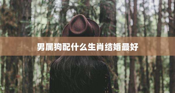 男属狗配什么生肖结婚最好