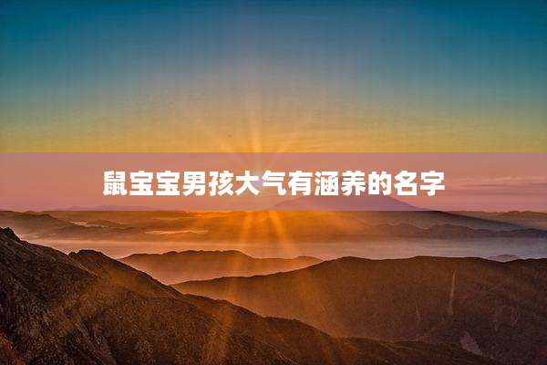 鼠宝宝男孩大气有涵养的名字