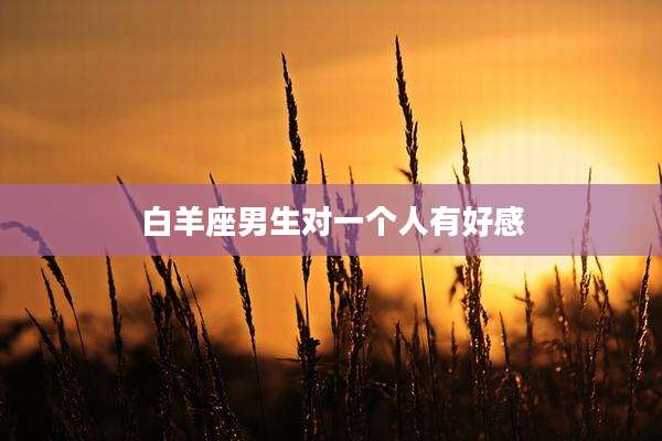 白羊座男生对一个人有好感