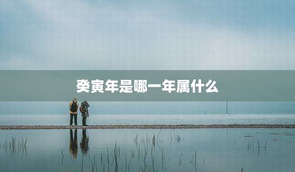 癸寅年是哪一年属什么