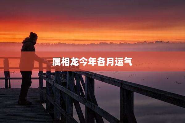 属相龙今年各月运气