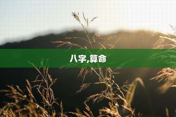 八字,算命