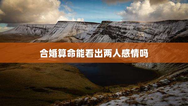 合婚算命能看出两人感情吗