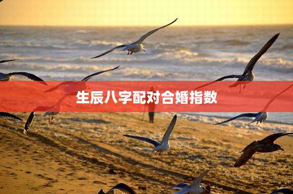 生辰八字配对合婚指数
