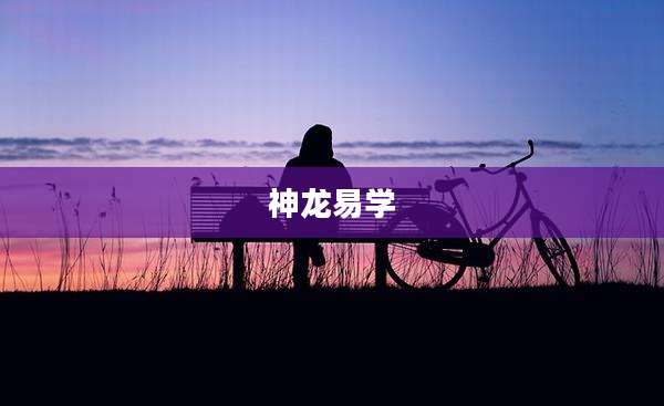 神龙易学