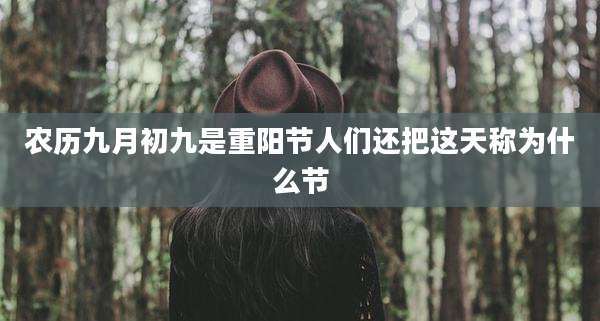 农历九月初九是重阳节人们还把这天称为什么节