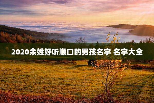 2020余姓好听顺口的男孩名字 名字大全