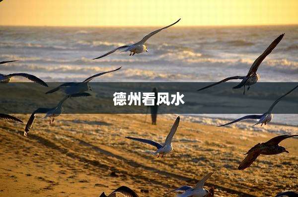 德州看风水