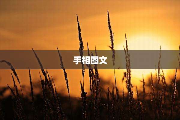 手相图文