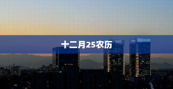 十二月25农历
