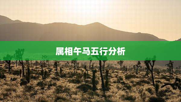 属相午马五行分析