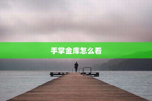 手掌金库怎么看