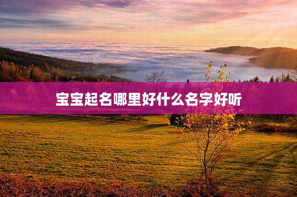 宝宝起名哪里好什么名字好听