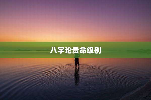 八字论贵命级别