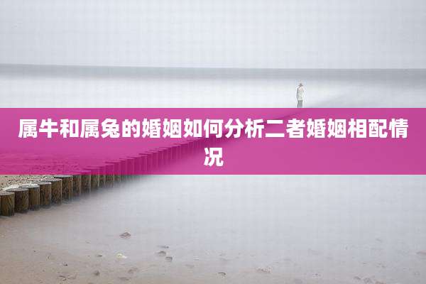 属牛和属兔的婚姻如何分析二者婚姻相配情况