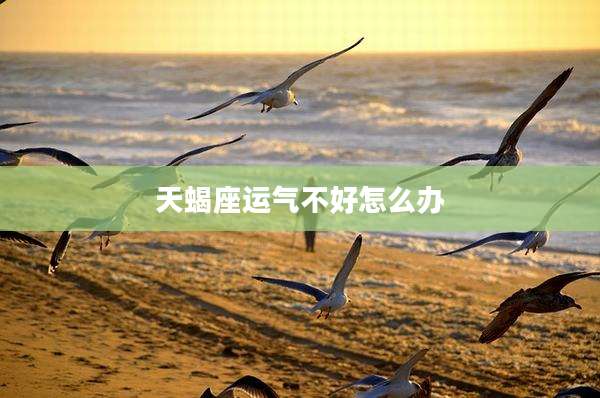 天蝎座运气不好怎么办
