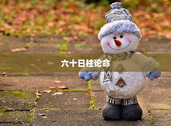 六十日柱论命