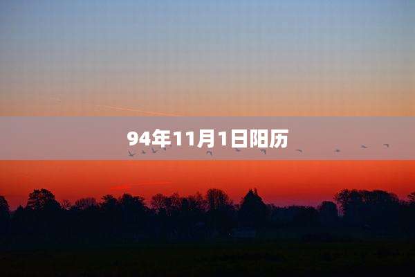 94年11月1日阳历
