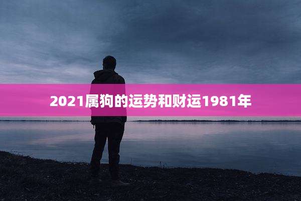 2021属狗的运势和财运1981年