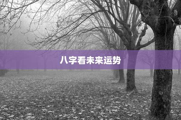 八字看未来运势