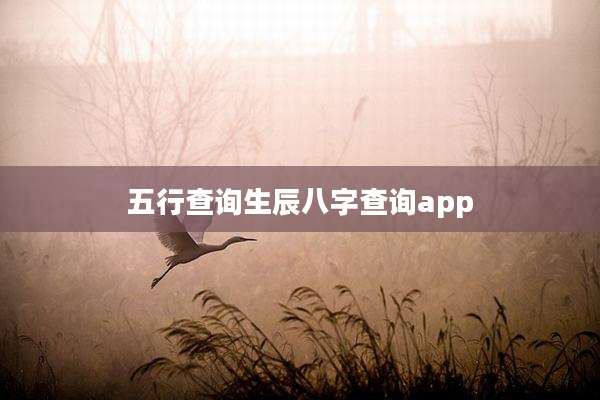 五行查询生辰八字查询app