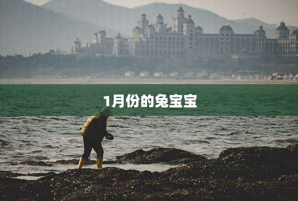 1月份的兔宝宝