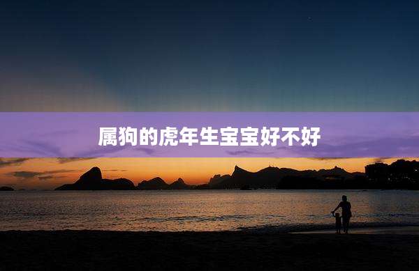 属狗的虎年生宝宝好不好