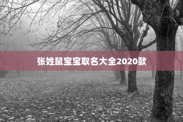 张姓鼠宝宝取名大全2020款