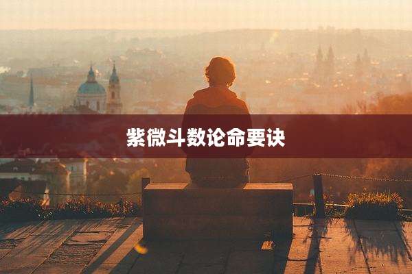 紫微斗数论命要诀
