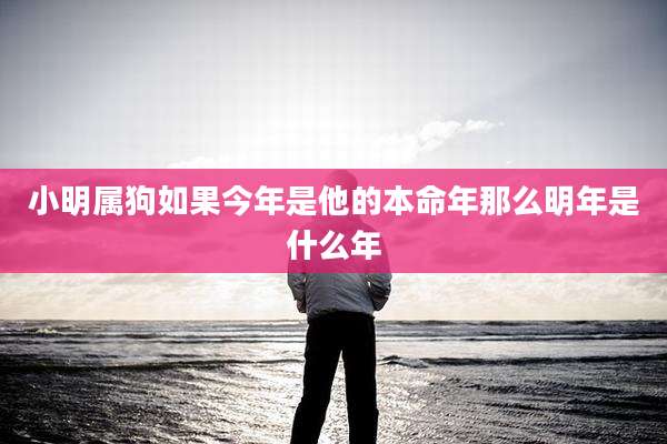 小明属狗如果今年是他的本命年那么明年是什么年