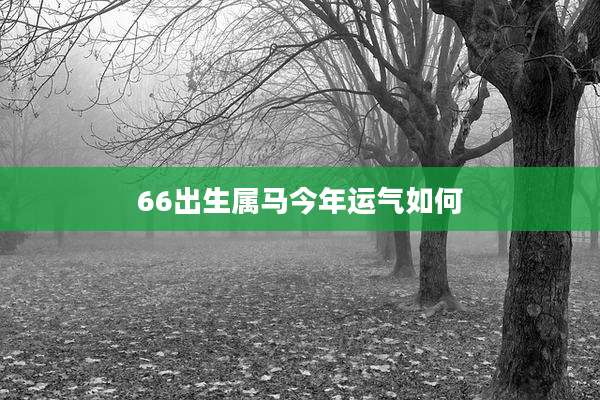 66出生属马今年运气如何