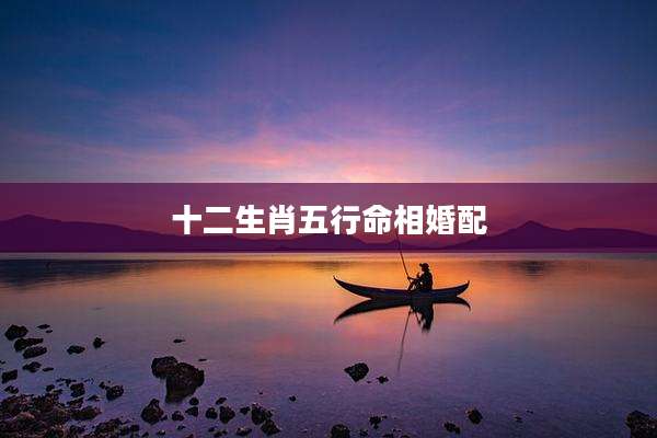 十二生肖五行命相婚配