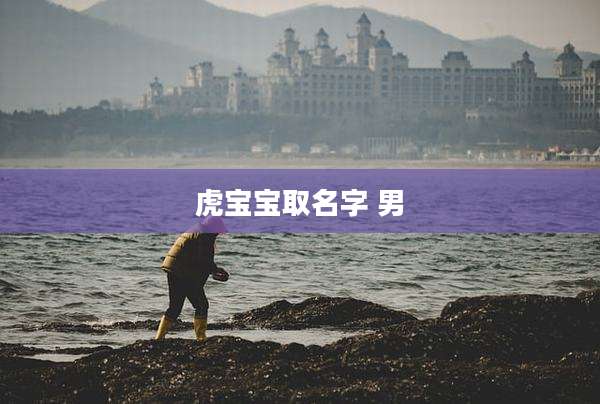 虎宝宝取名字 男