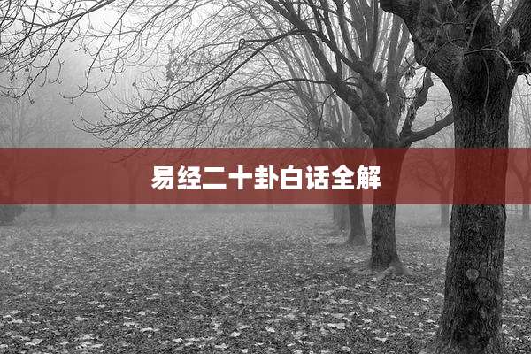 易经二十卦白话全解
