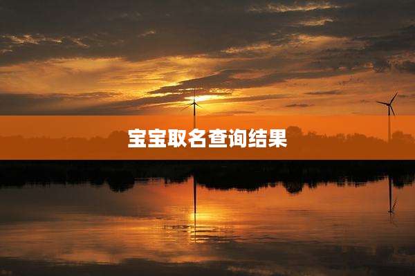 宝宝取名查询结果
