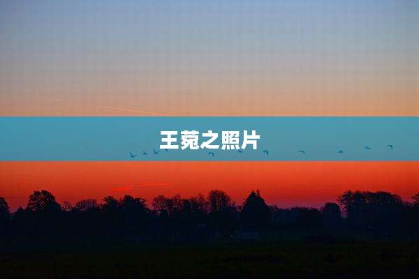 王菀之照片