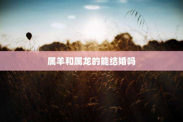 属羊和属龙的能结婚吗